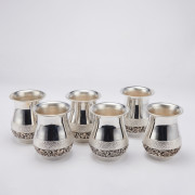 Silver 6 Glass Set
